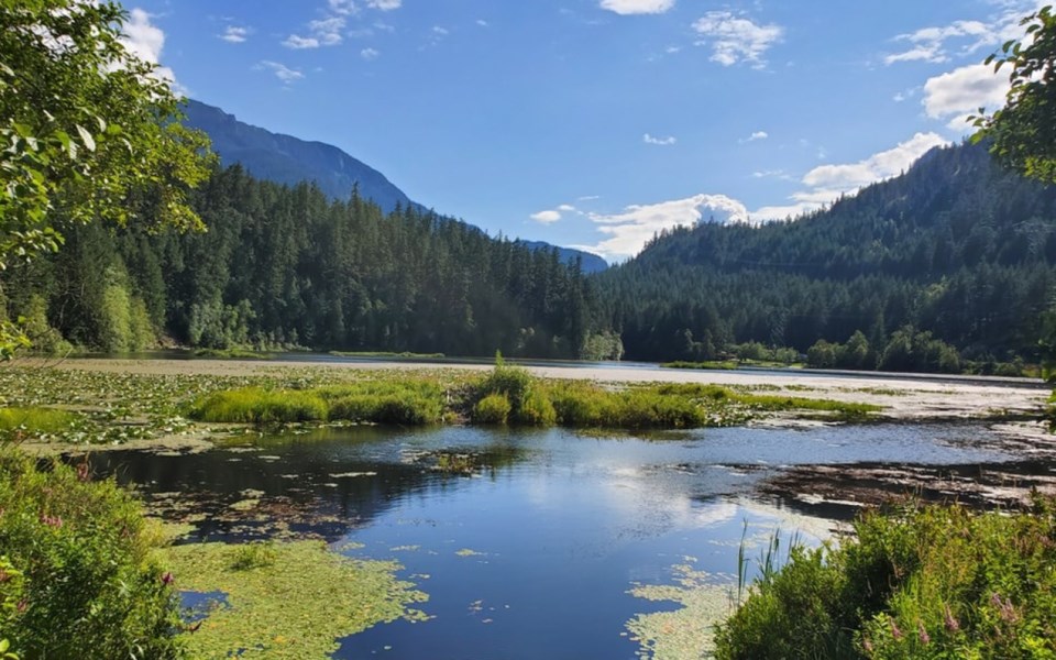 pemberton_unsplash
