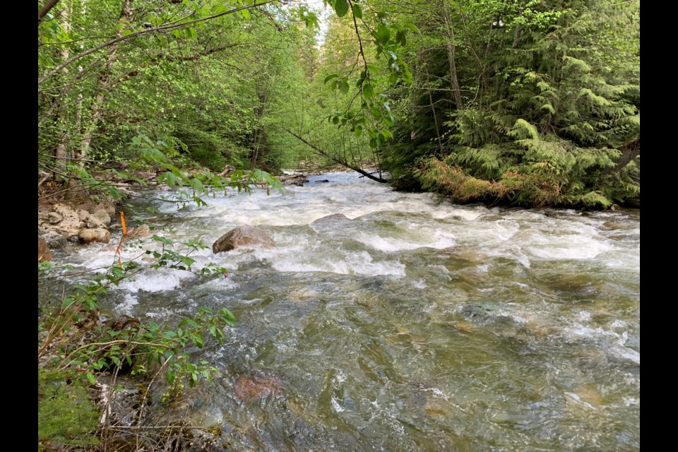 Owl Creek, one of the tributaries to Lillooet Lake 