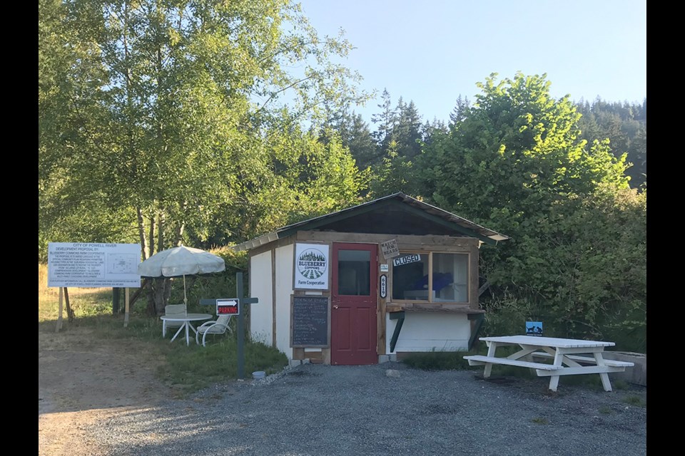 NEW DEVELOPMENT: Blueberry Commons Farm Cooperative on King Avenue in Wildwood is applying for amendments to the sustainable official community plan and the Powell River zoning bylaw to allow for a 36-residence housing development on its property, adjacent to land the cooperative is using for farming.