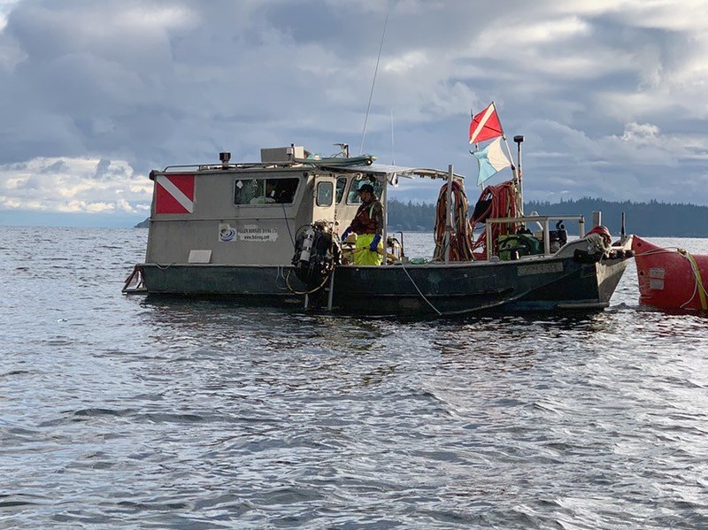 2645_Divers connecting flanged 22 elbow