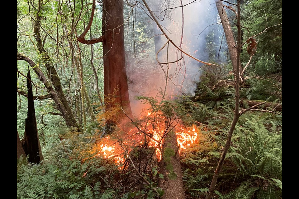 MOPPING UP: Firefighters from Powell River Fire Rescue and the provincial ministry of forests put out a fire between Harvie Avenue and Powell River Recreation Complex that is believed to have been started by a campfire.