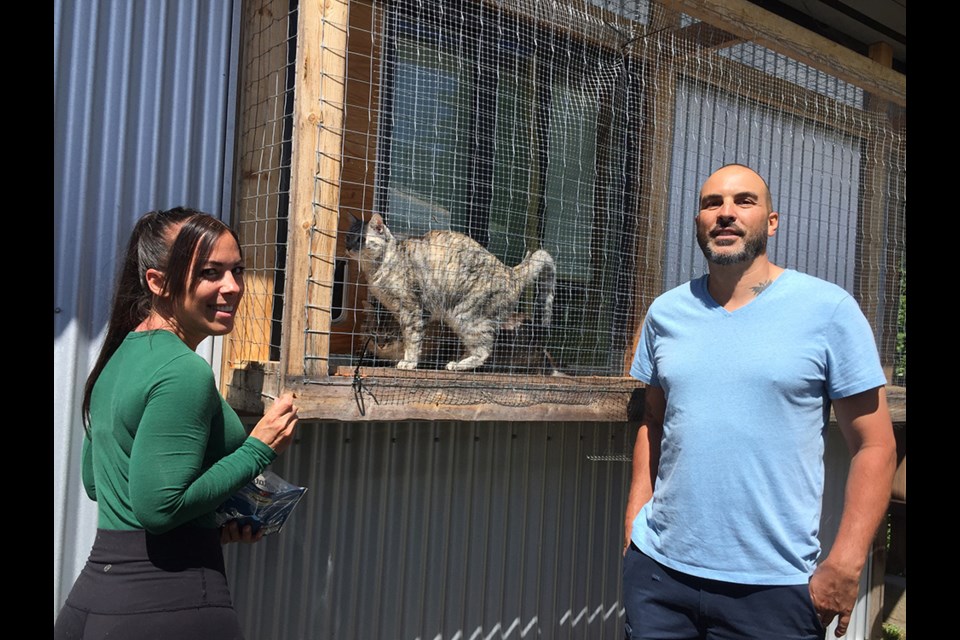 SAFE PLACES: April Andrews and Simon Gogniat want other cats to be as safe as Hannah and Charlie, who have a private catio so they can be outdoors and not vulnerable to attack by predators.