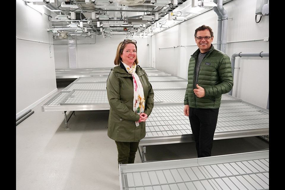 NEW MANUFACTURING: Meridian 125W Cultivation human resources and administration manager Nicole Robertson, and lead investor Thomas Ligocki, are in one of the growing rooms that will be used to produce high quality craft cannabis. The company is named after City of Powell River’s geographical location on the global map and is working to become part of the community, such as its donation to and sponsorship of the Patricia Theatre.                               