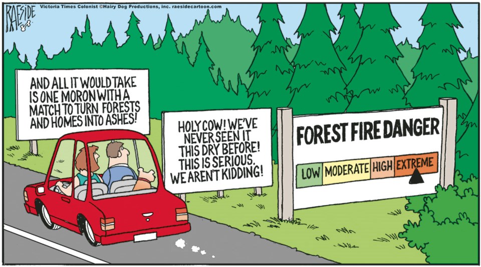 2840_cartoon_forest_fires