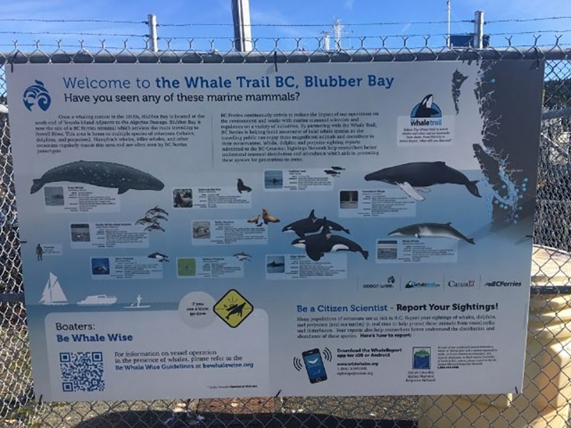 2619_whale_trail_blubber_bay