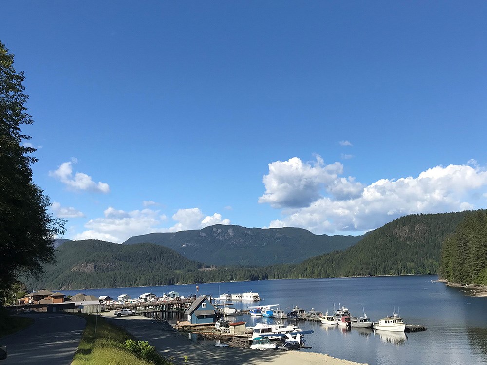 Healthy Living: My lab on the lake