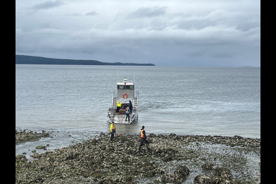 HIGH SPEED: Connected Coast is a multi-government project to bring high-speed internet to rural communities. Crew from West Connect Infrastructure Corporation (WCI) were out in a cable laying vessel at Westview landing today.