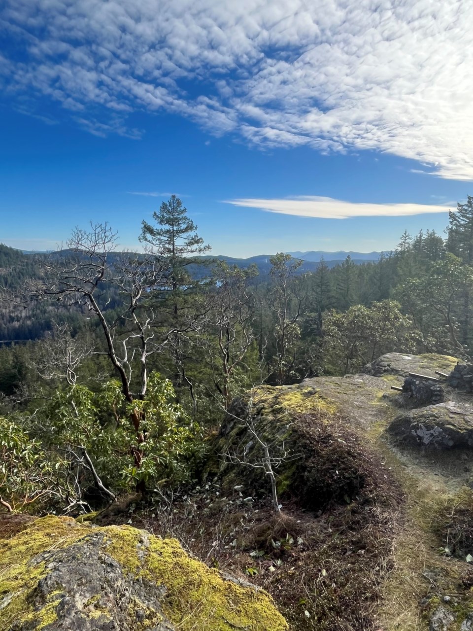 2933_valentine_mountain