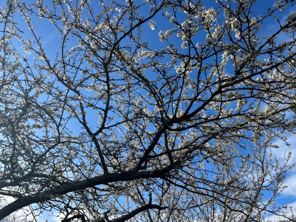 3022_weather_march_17-1
