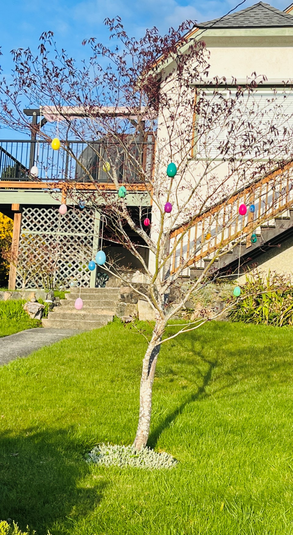3027_weather_easter