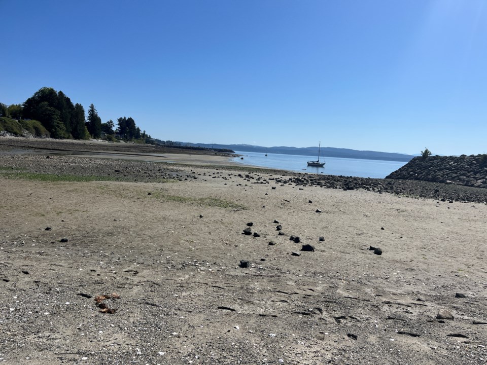 3029_low_tide