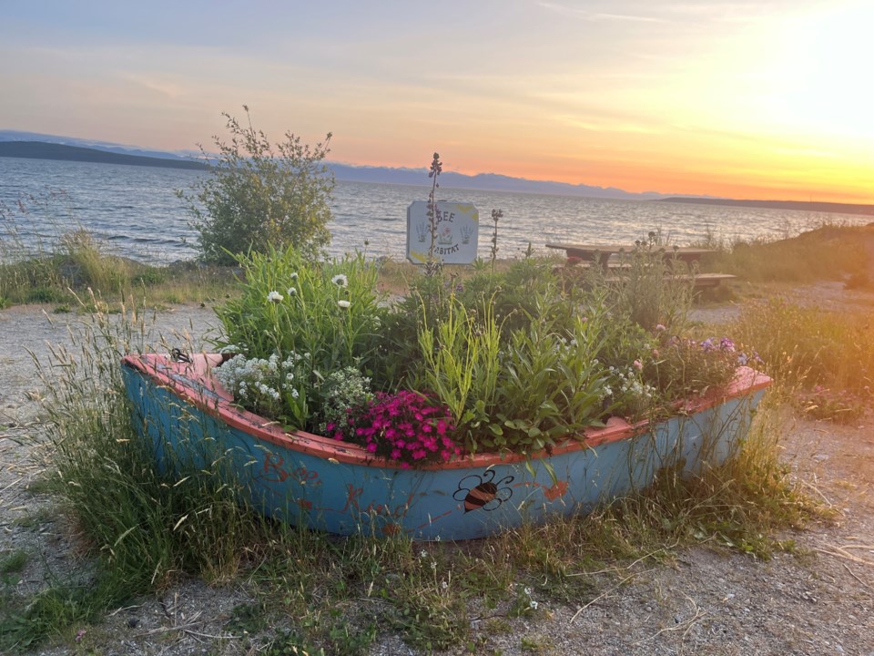 3034_bee_boat_seawalk