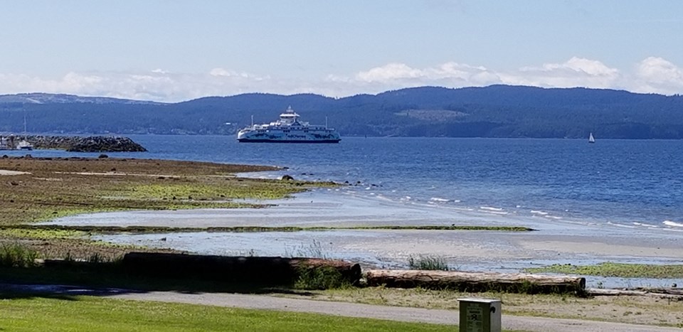 salish_orca2