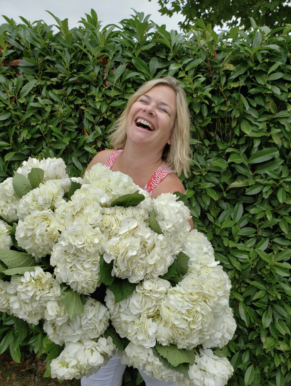 expert_quigley_hydrangeas_indoors