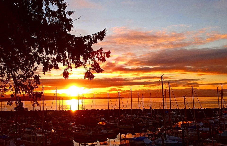 april_19_yolanda-gravnic_westview_harbour