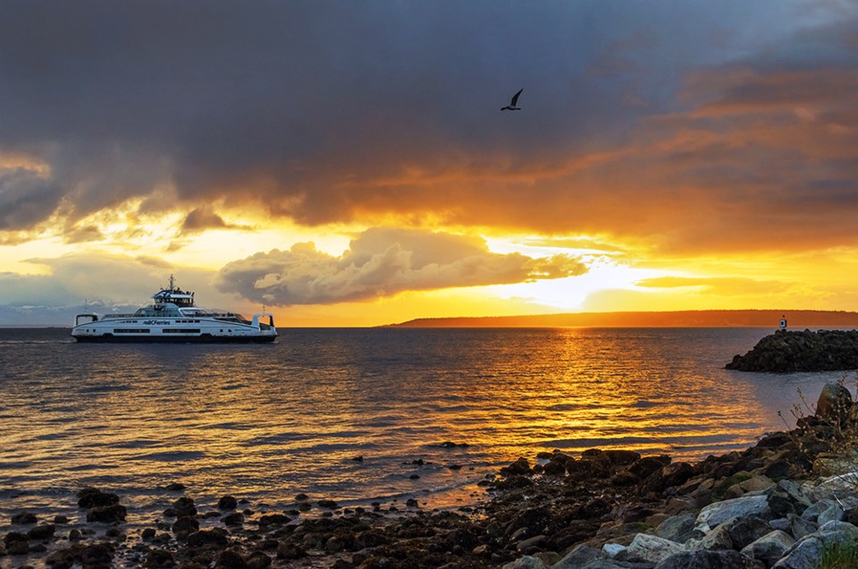 april_25_vanesa-acuto_ferry-arrival-powell-river