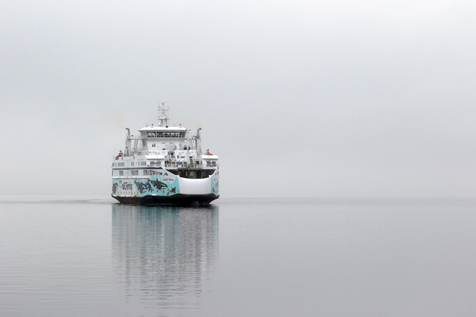 april_4_paul_den_ouden_salish_orca_from_seawalk