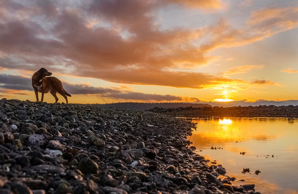 february_22_vanesa-acuto_her-dog-cayenne_sunset-from-tlaamin