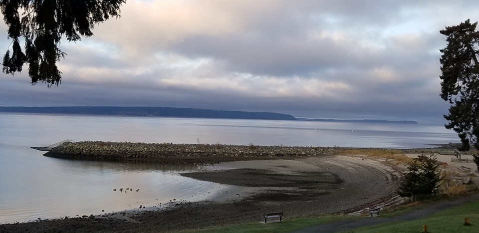 january_19_lisa_hansen_willingdon_beach