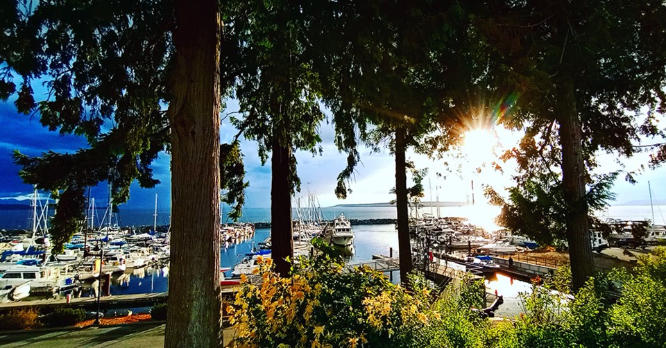 june_20_yolanda_gravnic_westview_harbour