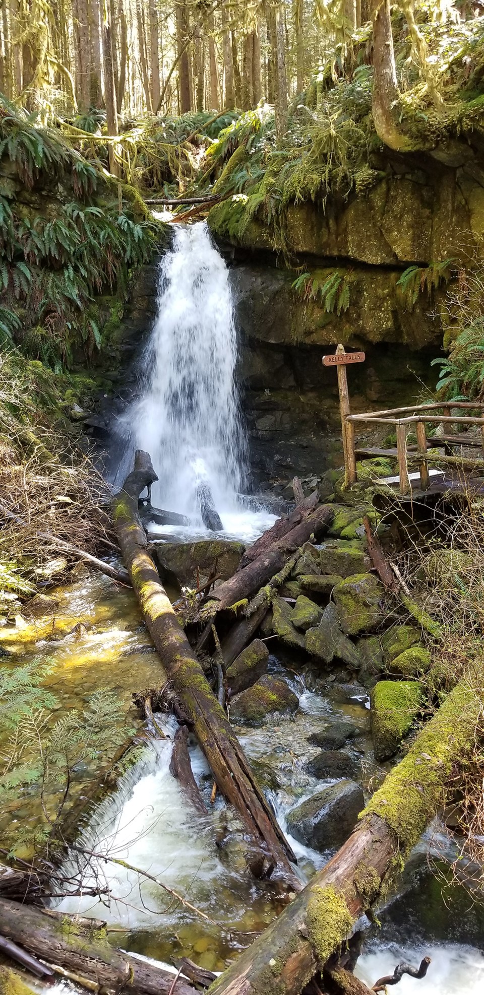 may_4_william_kato_kelly_falls