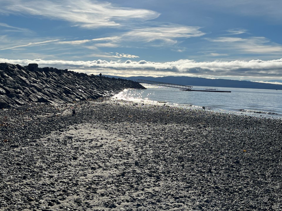 november_22_tanya-hill_willingdon-beach