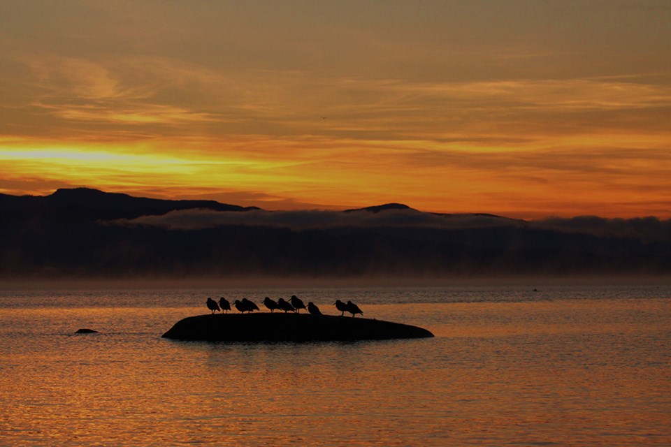 november_28_james_mcquarrie_douglas_bay