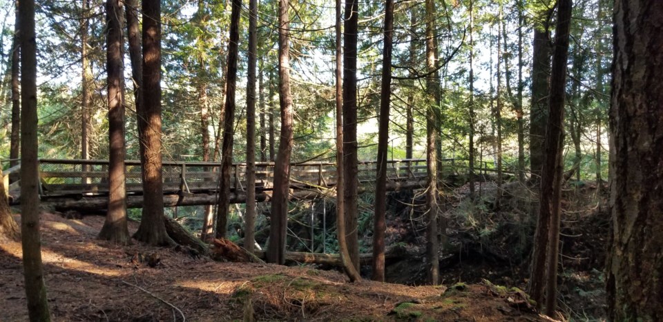 november_2_lisa_hansen_millennium_trails