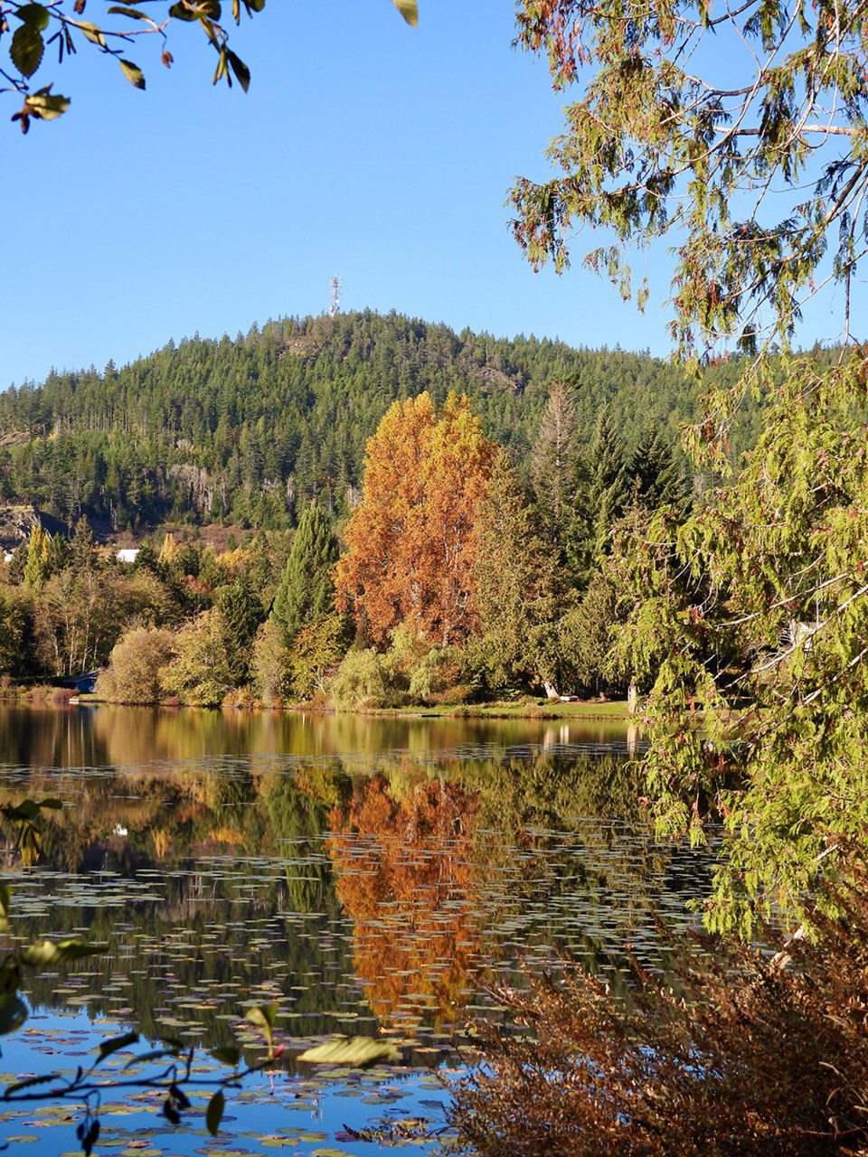 november_8_lois-bridger_cranberry-lake