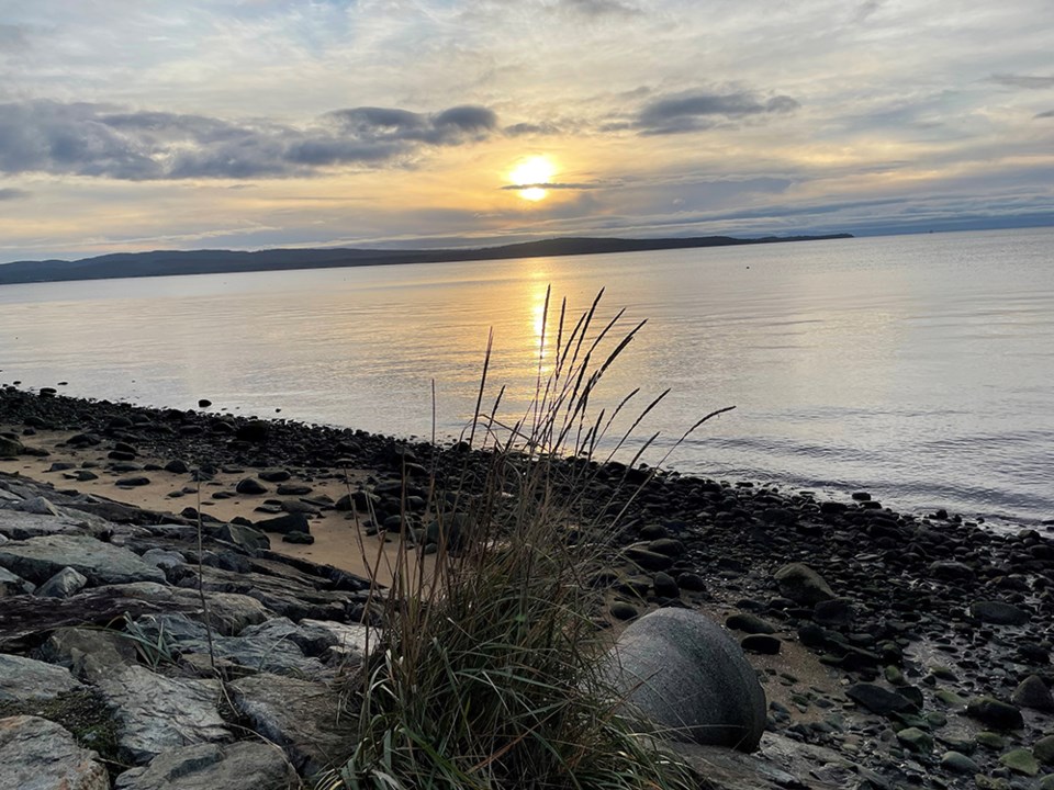 january_15_joyce_sea-walk-new-years-eve