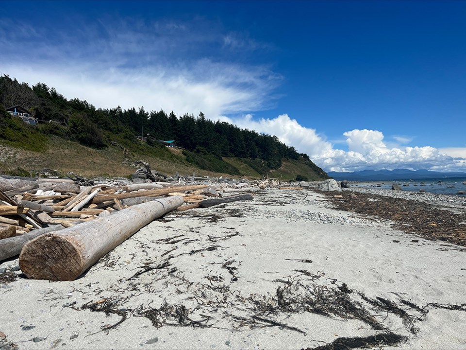 july_11_tanya_hill_southerland_beach_savary_island