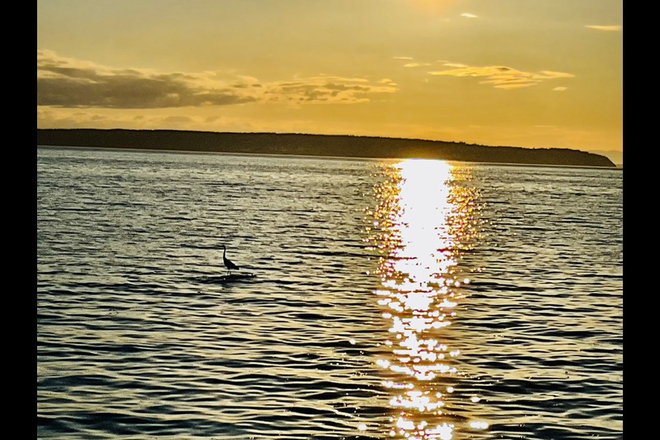 Sunset from the sea walk in Westview.