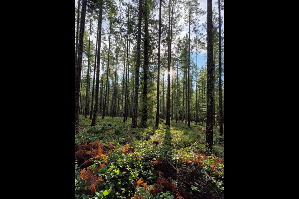 Penticton Trails.