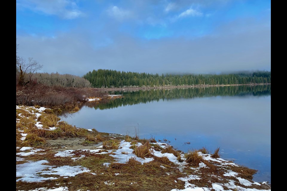 SAFE CAMPING: There has been removal of alder trees from the Nanton Lake recreation site because they have aged out and have become a hazard, according to the provincial ministry of environment and climate change strategy. Efforts are underway to ensure the campsite will be available for campers this season.