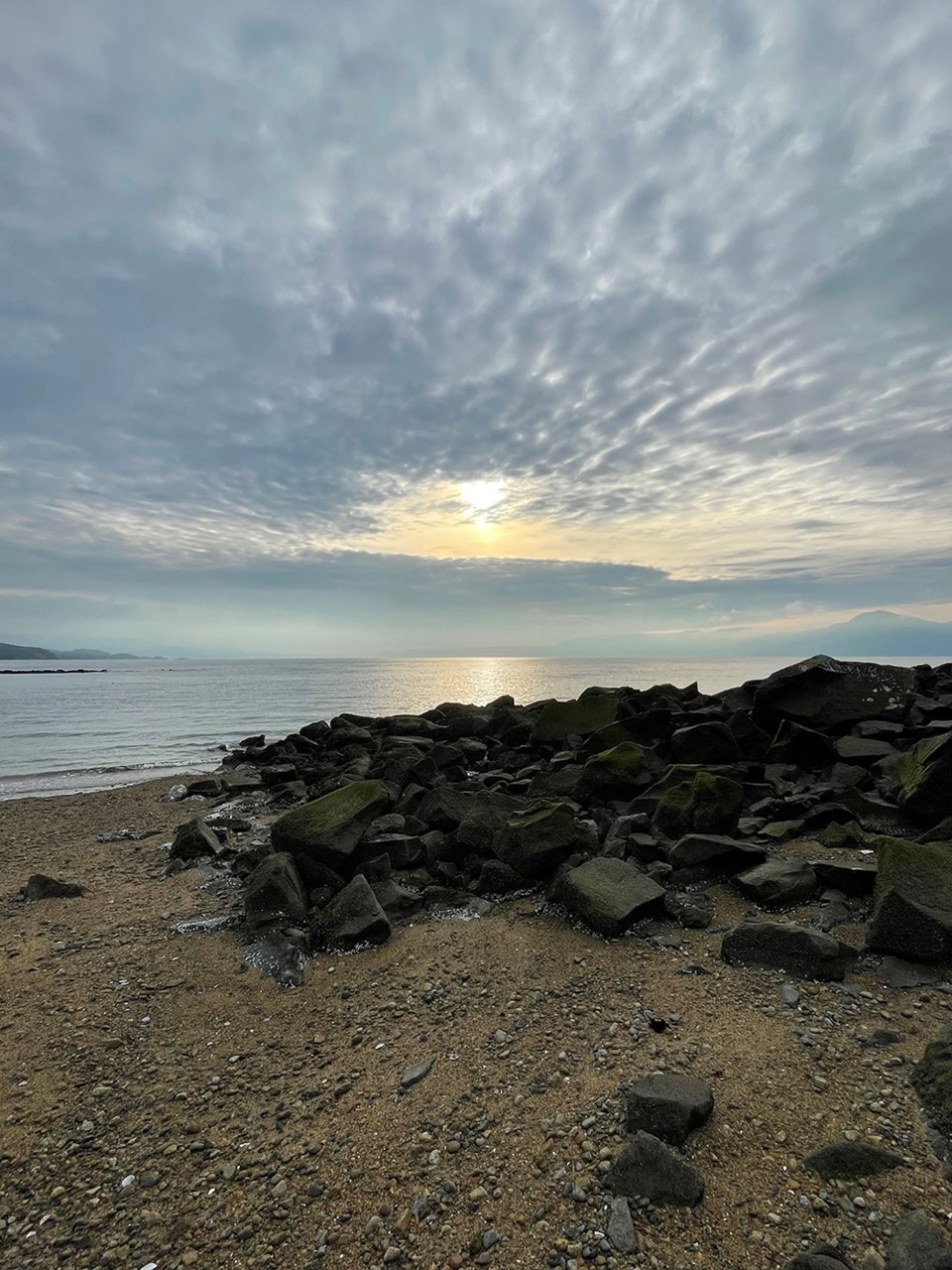 december_19_randy_donovan_brew_bay_november_morning