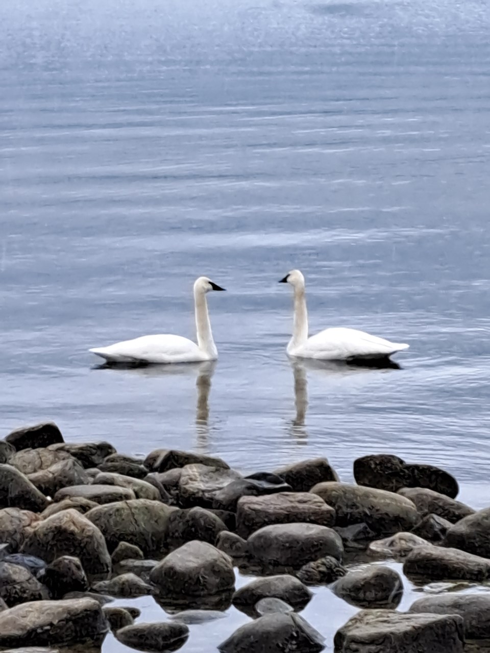 december_23_john_king_lang_bay