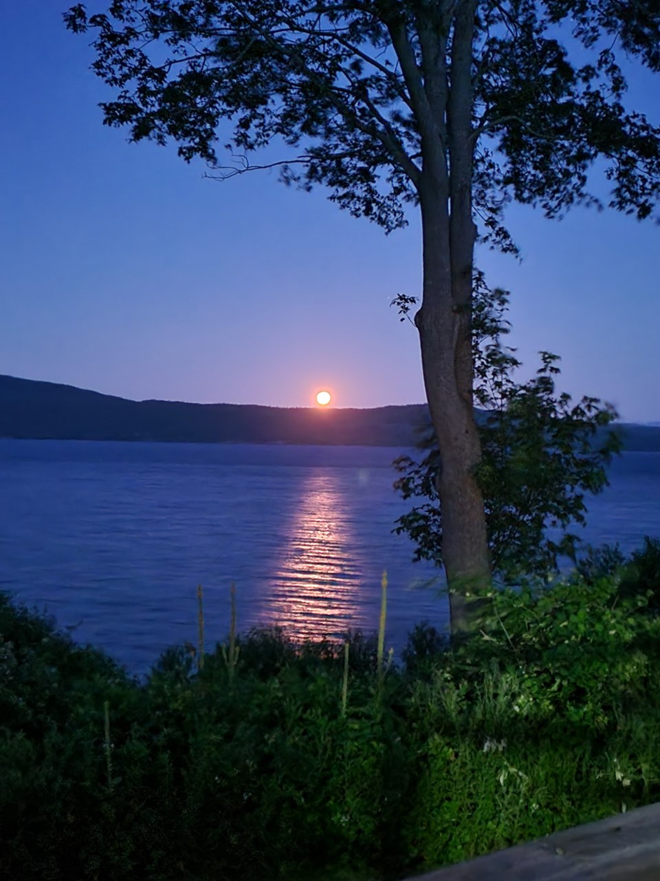 July 20_Jocelyne Esterer_The moon July 13th at 4 am on my deck south of town