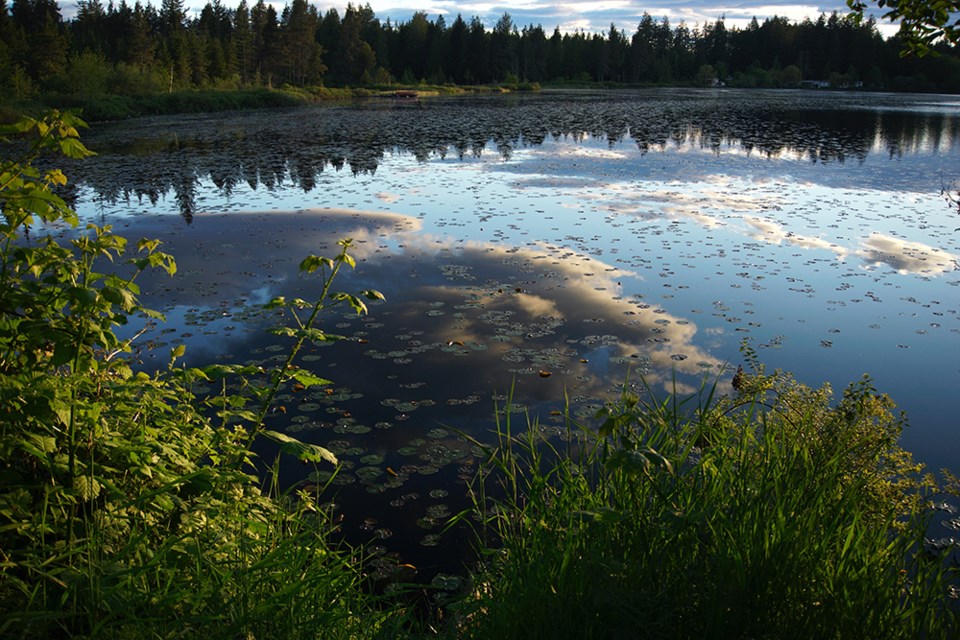 June_30_Alan Maconnachie_Cranberry Lake reflection_taken June 10