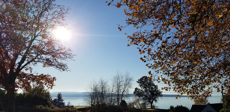 november_21_kris_carlson_view_from_city_hall