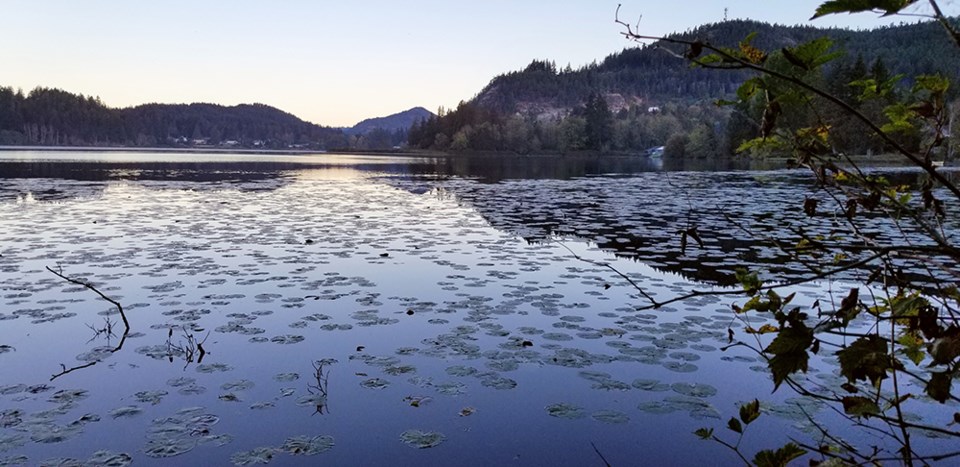 november_8_penny_shaw_cranberry_lake_2