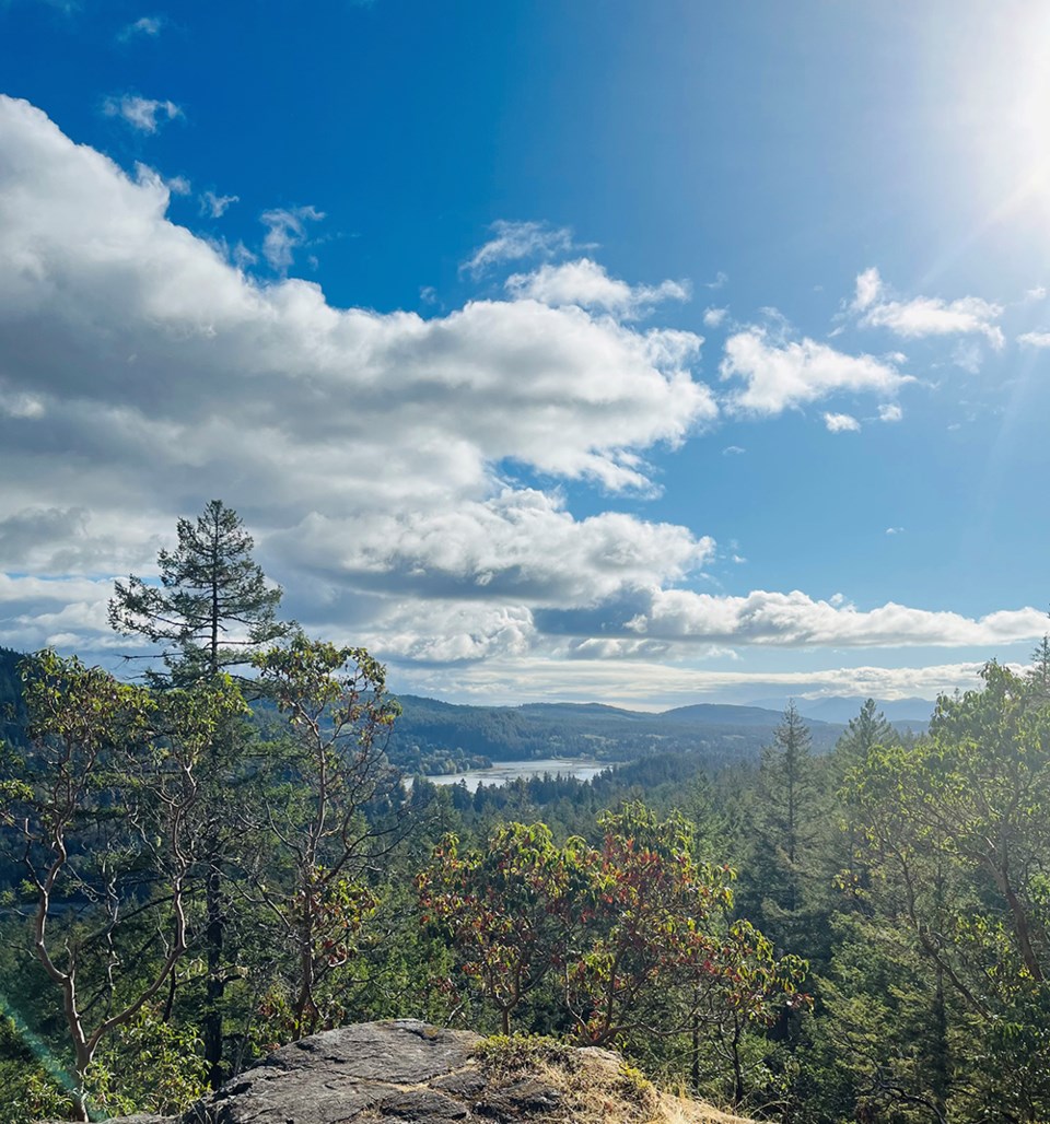 october_27_tanya_hill_valentine_mountain_october