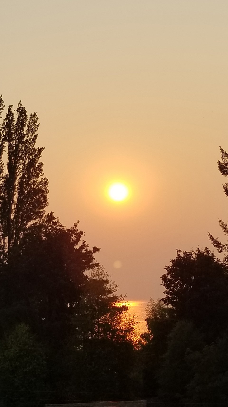 September_12_janet_hansen_westview