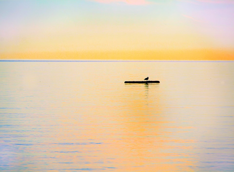 september_14_rick_mcgrath_hitching_ride_palm_beach_morning