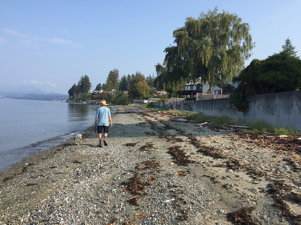 september_22_joyce_carlson_beach_area_grief_point