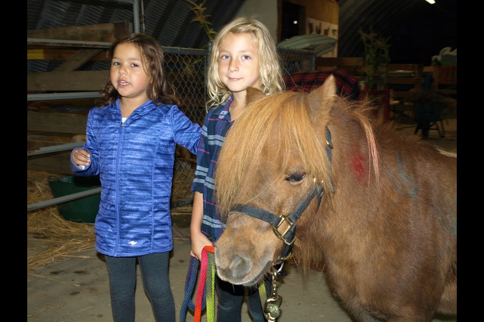 A celebration of harvest and community, Powell River Fall Fair returns to Paradise Valley this September after a two-year hiatus due to COVID-19. Attendees, volunteers and vendors will enjoy food, agricultural displays and live music at the annual event, which has been a tradition for friends and families in the area for 90 years. At the last fair in 2019 [above], Madeleine Koop [left] and Ella Westie hung out with Echo the Pony.