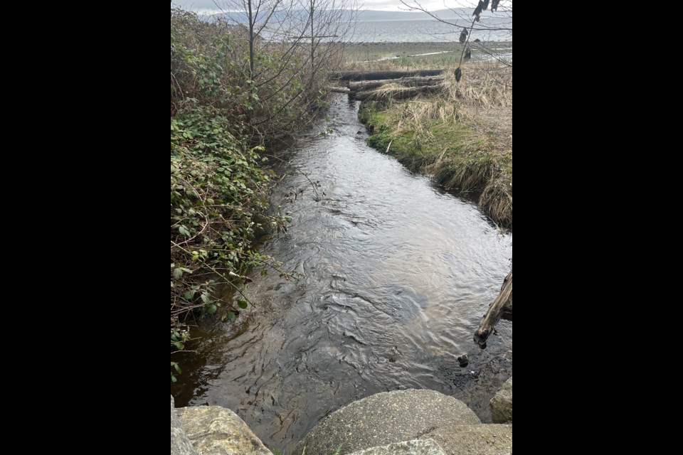 SALMON RELEASE: Powell River Salmon Society and City of Powell River will have a public fish release event on April 21.
