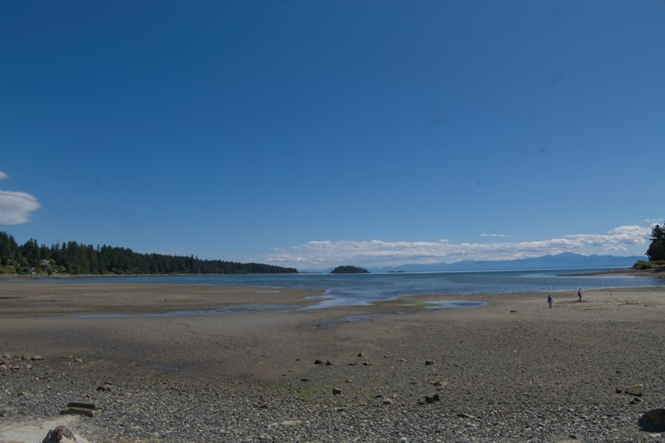 SANDCASTLE WEEKEND:Texada Island Sandcastle Weekend has been going for 37 years.

