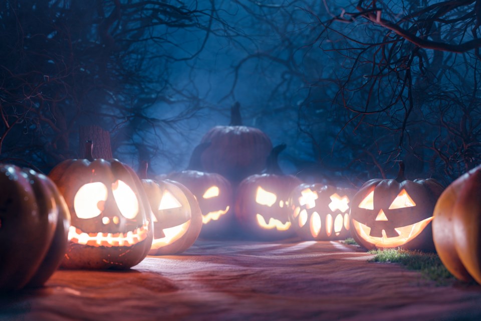 HAUNTED MAZE: The Halloween Maze at Powell River Racquet Centre is back for a second year. Along with the usual maze of dark tunnels, fog machines, animatronics, and spookers, this year’s maze will feature the Hellevator.
