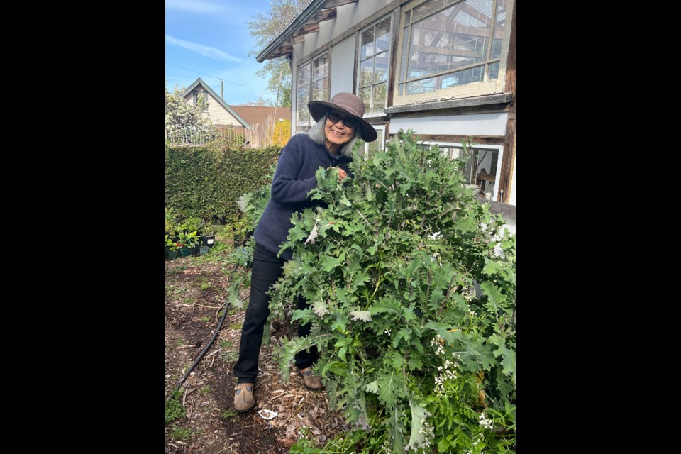 LOVE OF PLANTS: The 2025 Powell River Garden Tour is coming Sunday, June 8, and will feature seven gardens for folks to wander in this spring. Organizer Diana Wood [above] will host a lunch and musical guests in her backyard oasis called Boxwood Cottage and Garden.
