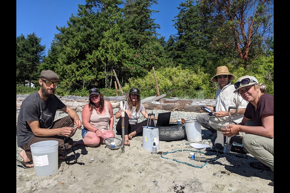 MAKING IMPROVEMENTS: The beach cleanup crew has been sifting through sand and rock to make sure beaches throughout the qathet region are restored to natural conditions.